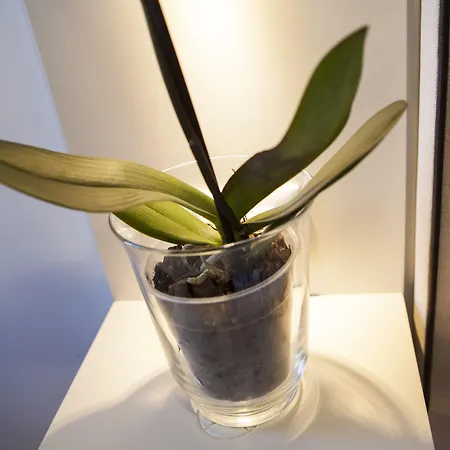 Il Barbero Bed & Breakfast