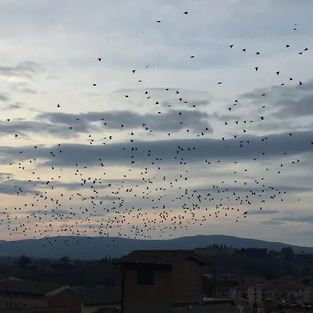 Il Barbero 4* 시에나