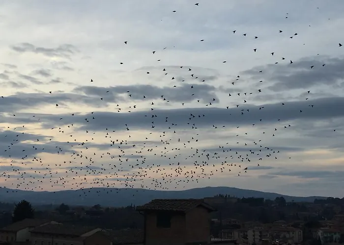 Il Barbero 4* Сиена